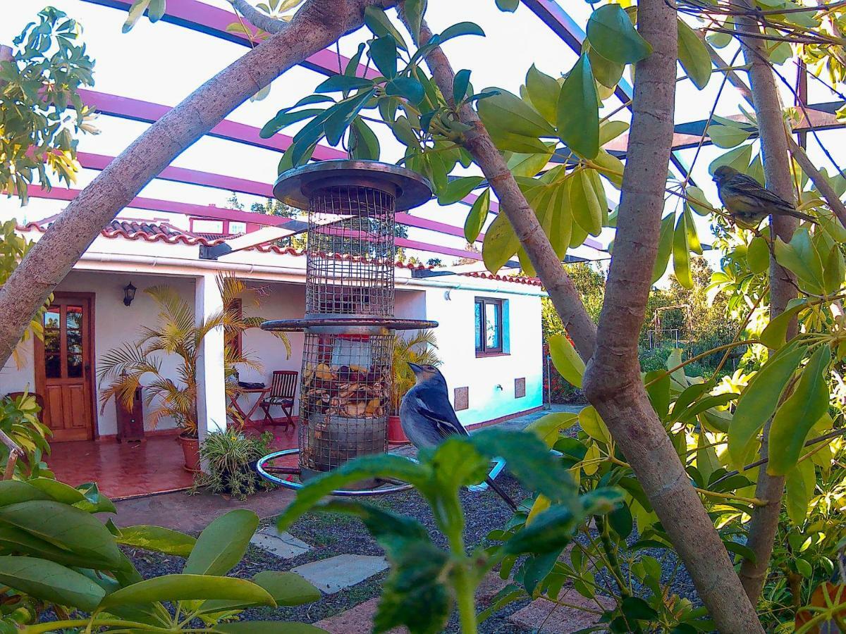 La Casa De La Cartita Puntagorda Exterior foto